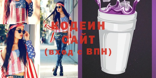 гашик Няндома