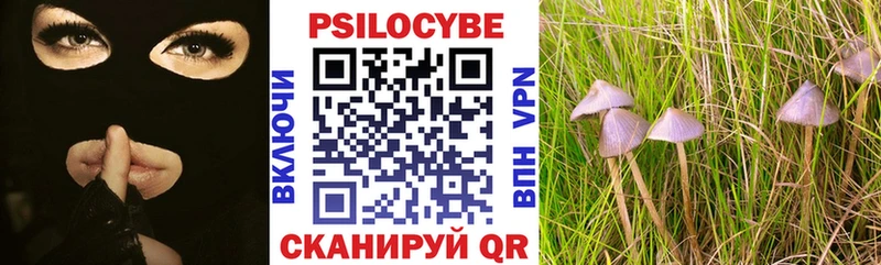 маркетплейс телеграм  Шебекино  Галлюциногенные грибы Magic Shrooms 