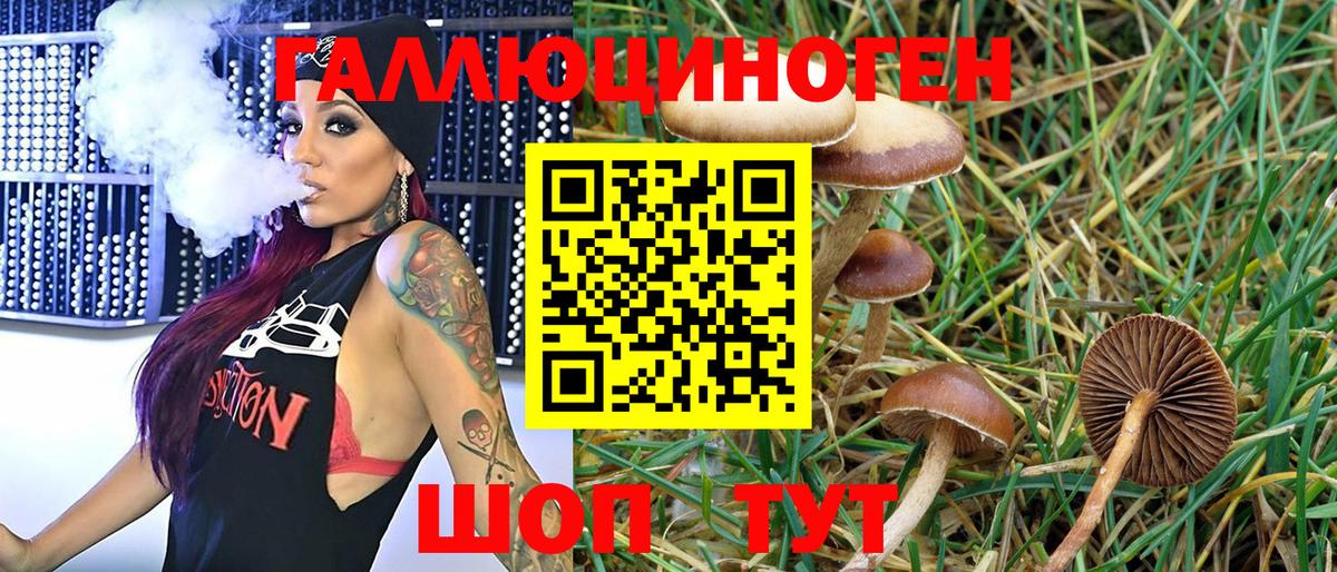Шебекино  Галлюциногенные грибы Magic Shrooms  Вход с VPN  Псилоцибиновые грибы MAGIC MUSHROOMS 